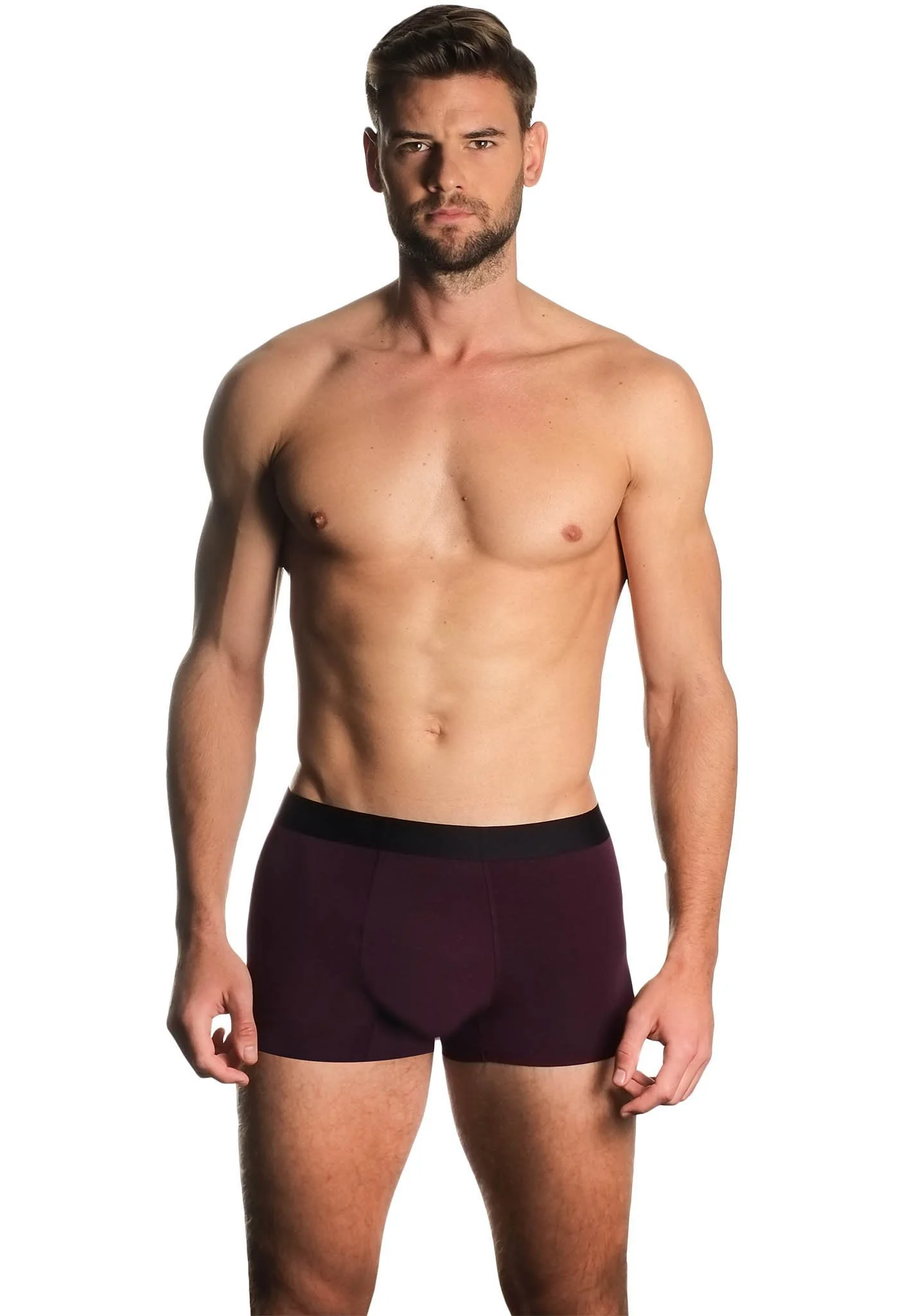 Midnight Purple Boxer Trunks - Image 4